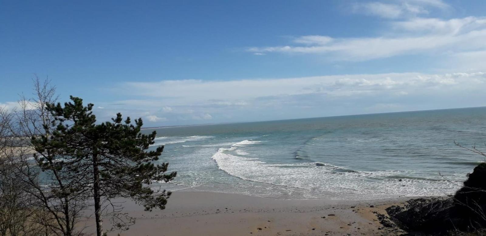 Les Sables D'Or - Joli T3 200M De La Plage Barneville-Carteret Buitenkant foto
